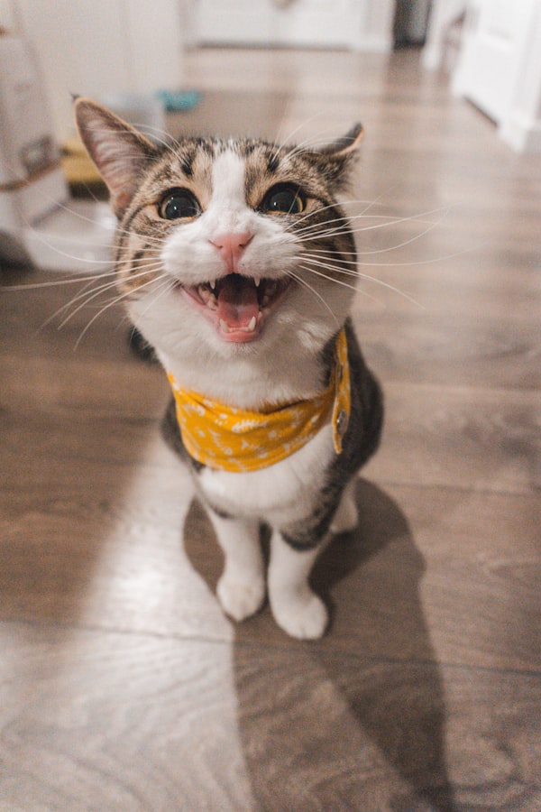 라가머핀